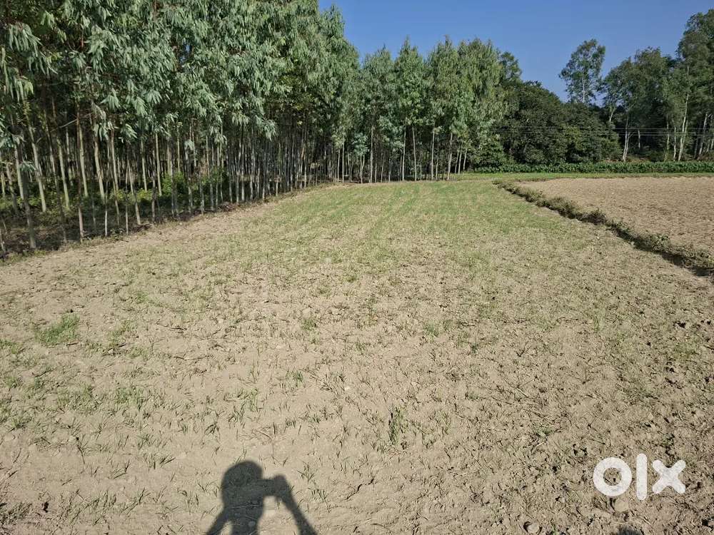 1.5 bigha Land for sale near chharba herbertpur