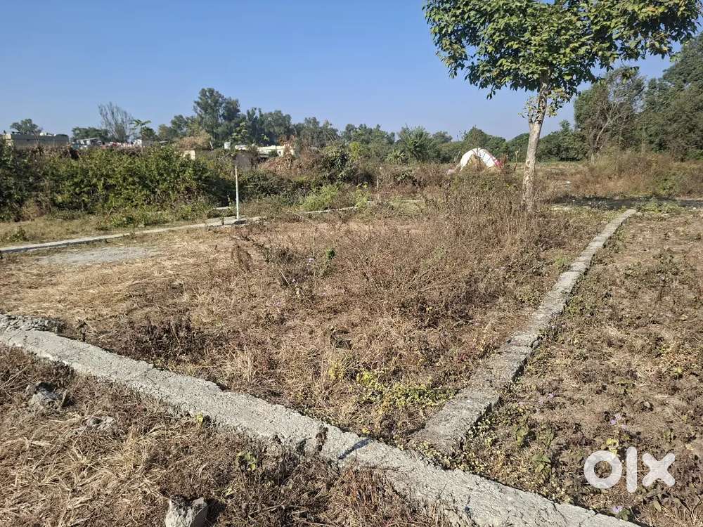 30×45=150gaj plot for sale in selakui