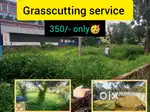 Grass cutting service