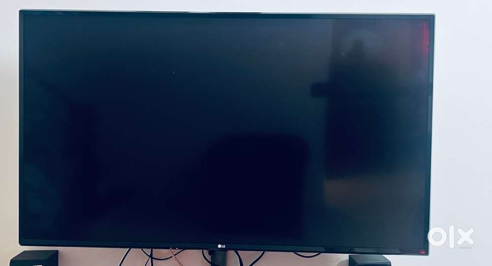 LG 49” 2019 model