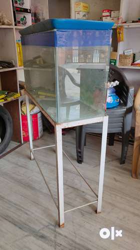 Fish tank with stand is 4ft long and 3ft wide with all the accessories like motor, heater ,pebbles