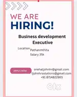 Business development executive ( male )