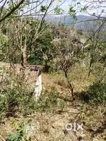38 cents of land for sale near NH 183 Road, Vandiperiyar, 57-mile