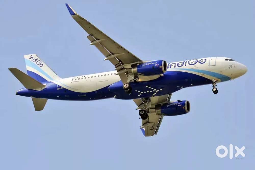 Cabin Crew/ Airport Ground Staff Jobs in Indigo Airport