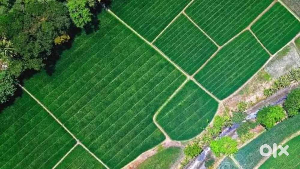 Narayankhed: Buy with 40 Lakhs Get 60 Lakhs Buy Back / Limited Time