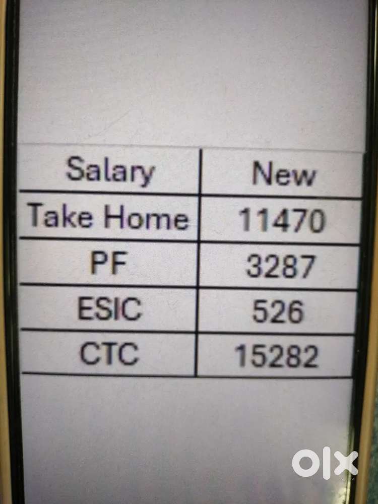 Customer support executive