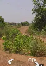 Sc plot for sale