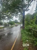 65 cent commercial property in Parassinikadavu kannur