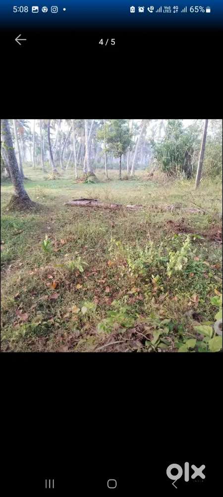 8 cent housing plot for sale (2 lacks per cent)