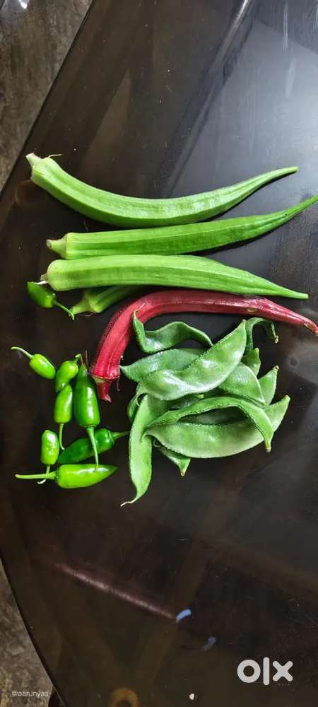 Looking for Cleaning and cooking help