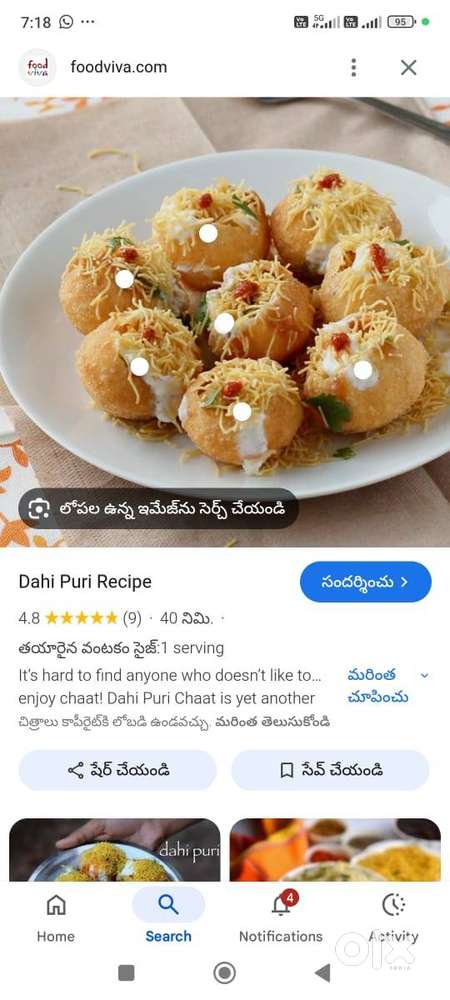 CHAT AND  PANI PURI MASTER