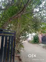 I am looking for cooking job and house cleaning