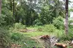 Plot for sale