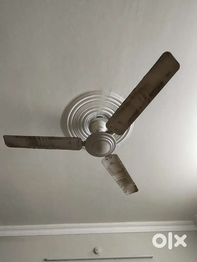 Ceiling fans
