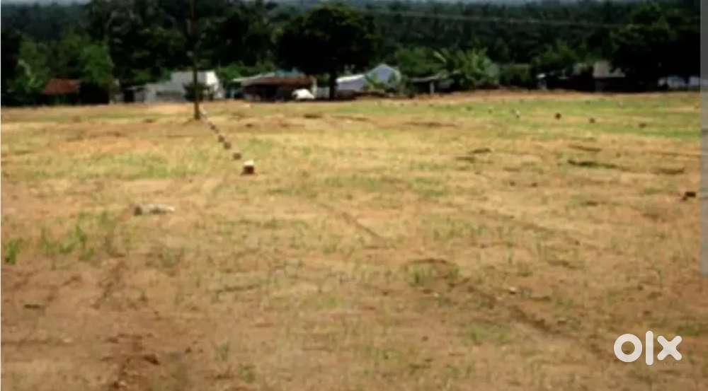 1.5 ACER LAND FOR SALE IN AKKULAM ROAD SUITABLE FOR FLAT,VILLA ETC