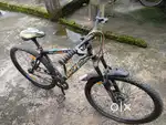 Avon cycle