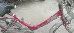 Pink colour cycle 1 month old