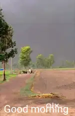 Plot at good location