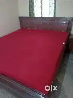 Supreet furniture brand new king size cot