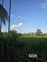 Dibrugarh khuwang chariali near  minimun 2 kotha maximum 1 bigha