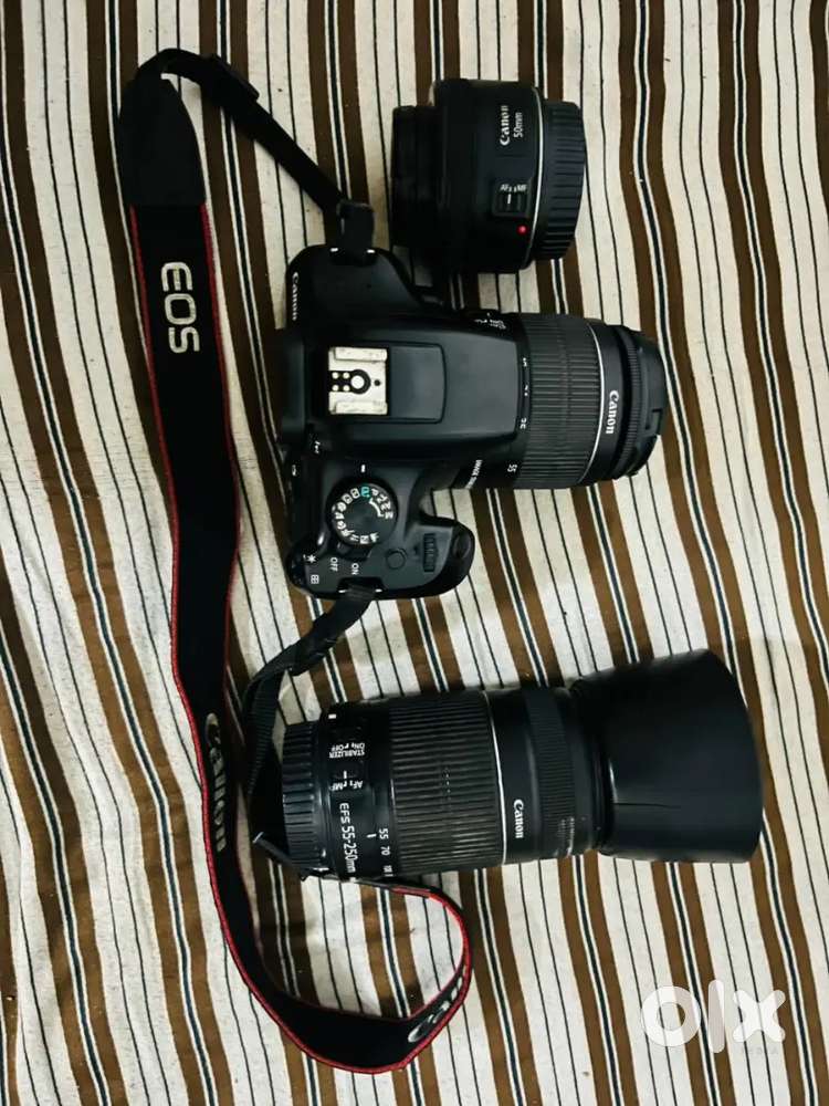 Canon 1300D With Prime And Zoom Lenses