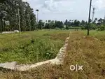 House Plots for Sale – 4 & 5 Cent, Nedumthodu, ₹3 Lakh/Cent