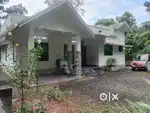 Pampady.10 cent 3 bedroom house.50 .lakh.