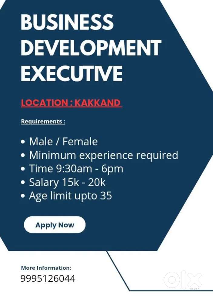 Hiring - Business Development Executive