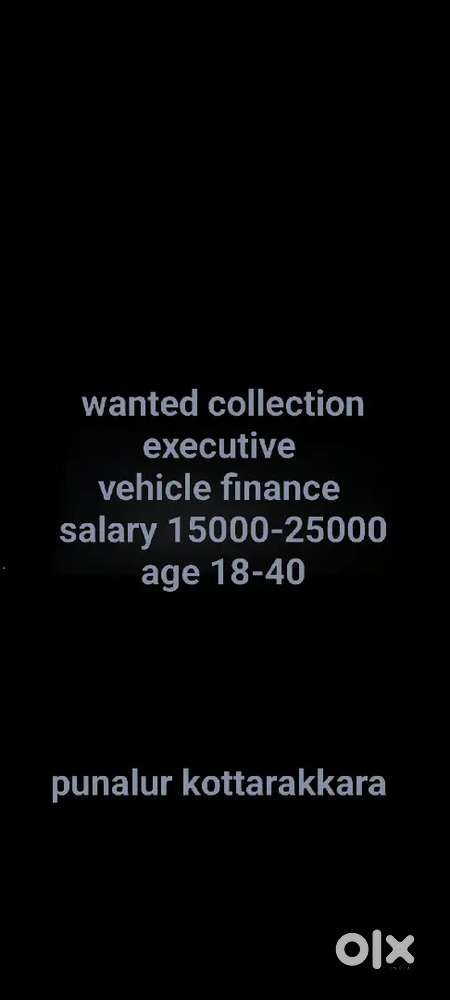 Collection executive