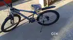 Custom bicycle