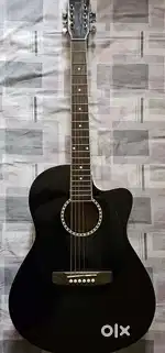 Guitar ( Kaps ST 10 AC)