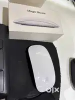 Apple magic mouse