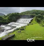 160 acre land in lanja ratnagiri