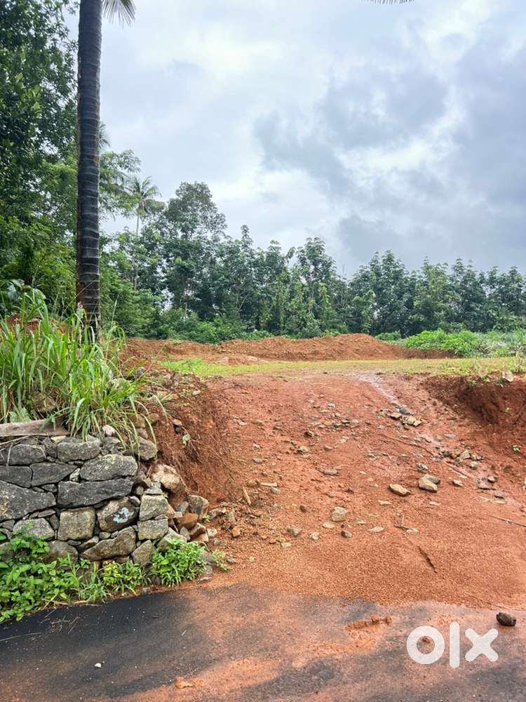 26 cents of land for sale @ vazhakulam