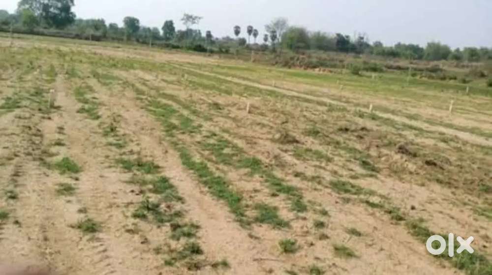 आधा कठ्ठा जमीन हैं बेचना हमको जिसको भी लेना हो वो मेसेज करे पुनपुन मे