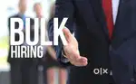 Bulk Hiring For Fresher and Experienced