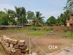 8 cent Residential Plot at Alinkeel Junction
