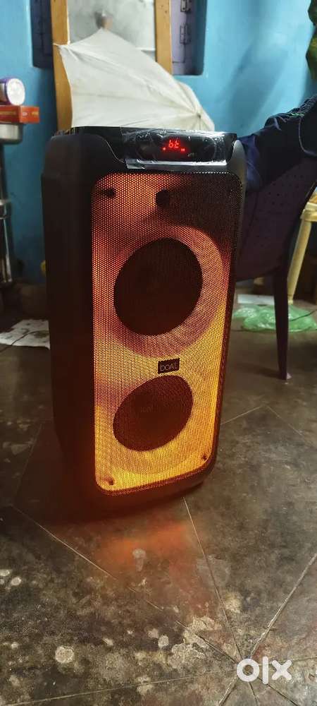 Party speaker