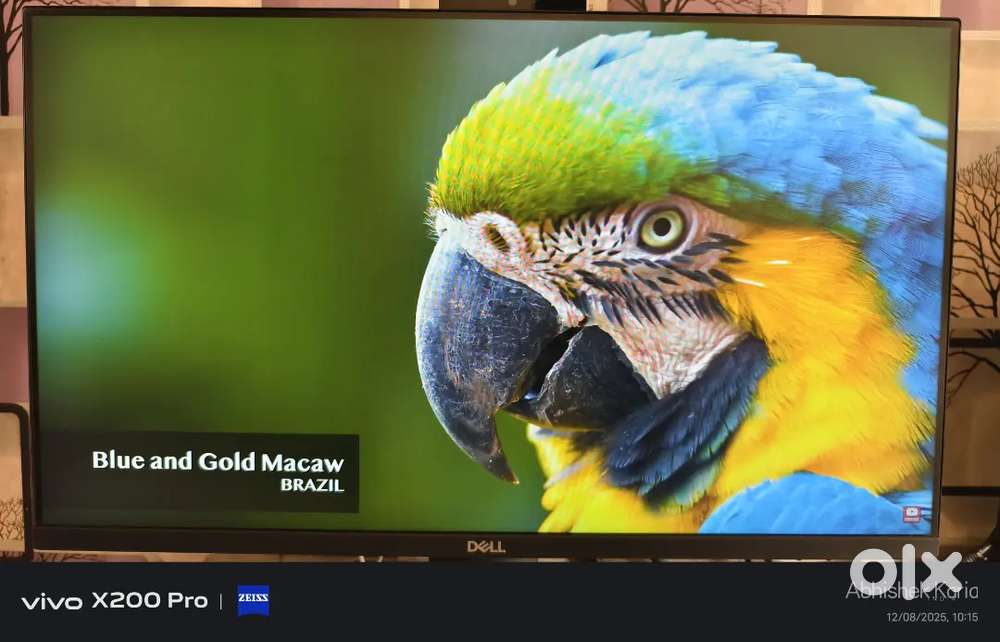 Dell 24 Inch Monitor Excellent Condition