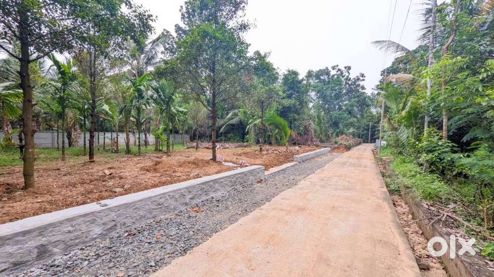 Karukutty near Naipunnya college premium plots – 90% loan-  Free Reg