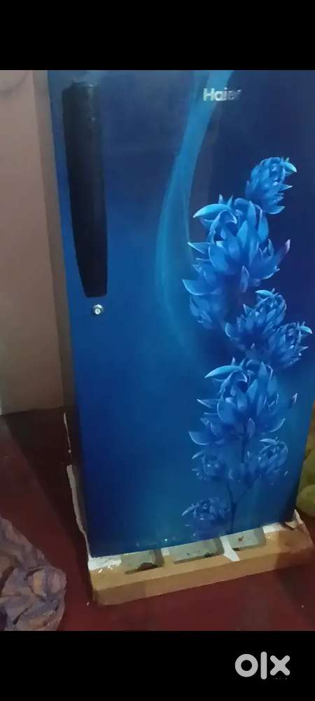 Hair fridge single door