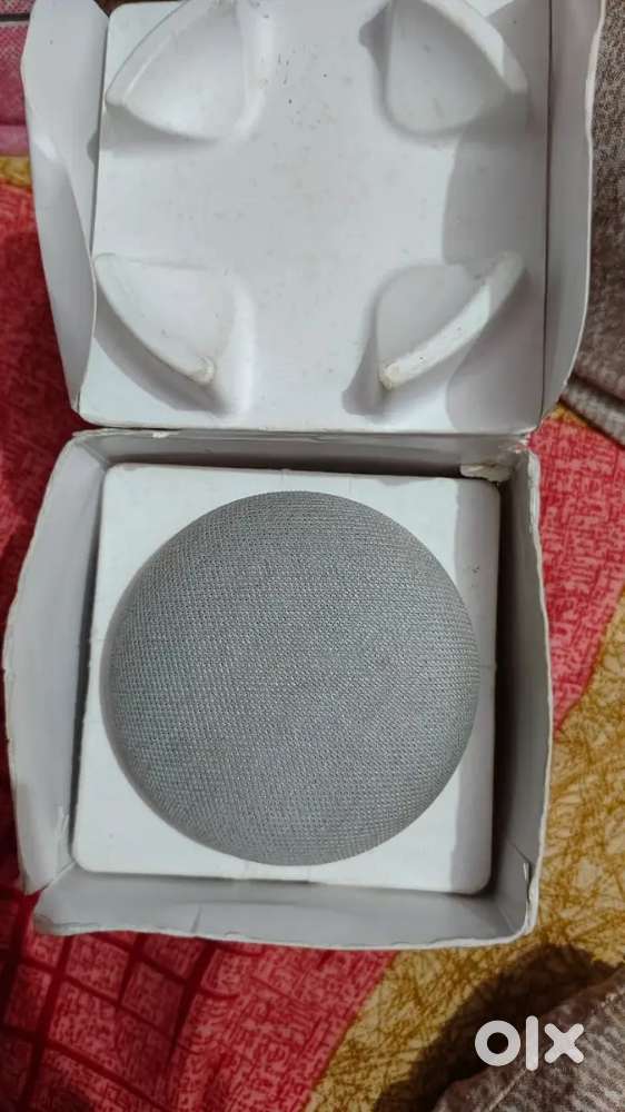 Google Home Moni