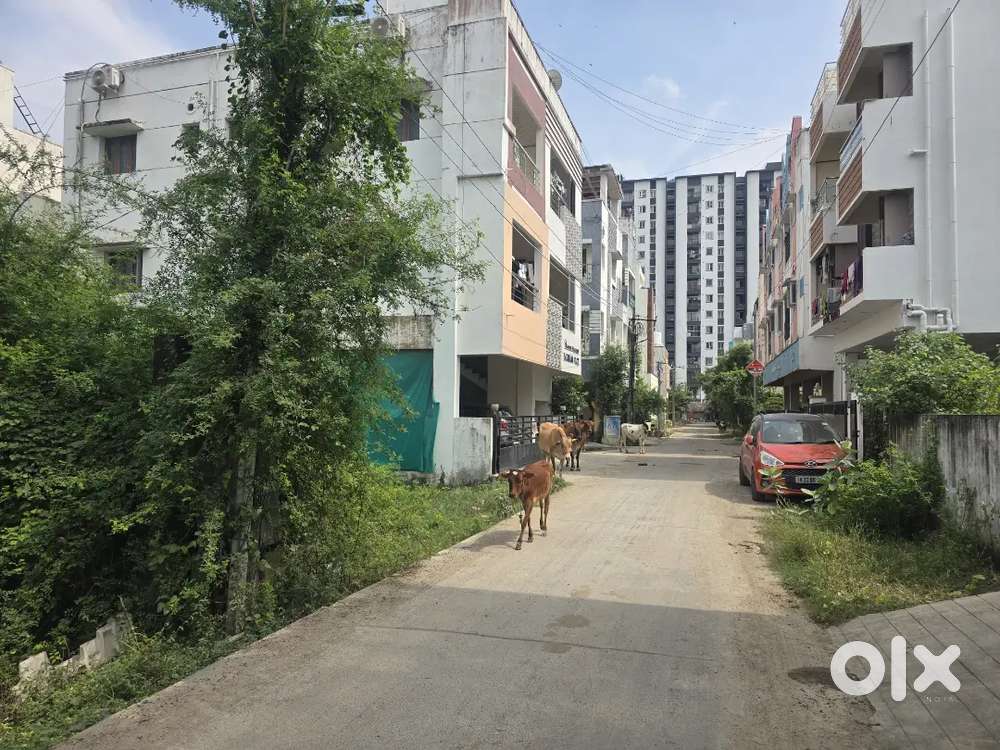 Medavakkam Rg nager land 938soft 2plot available cmda siz 25/37