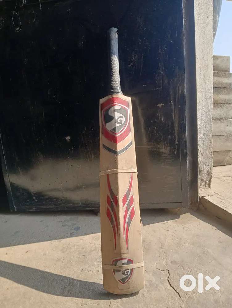 Bat cricket bat