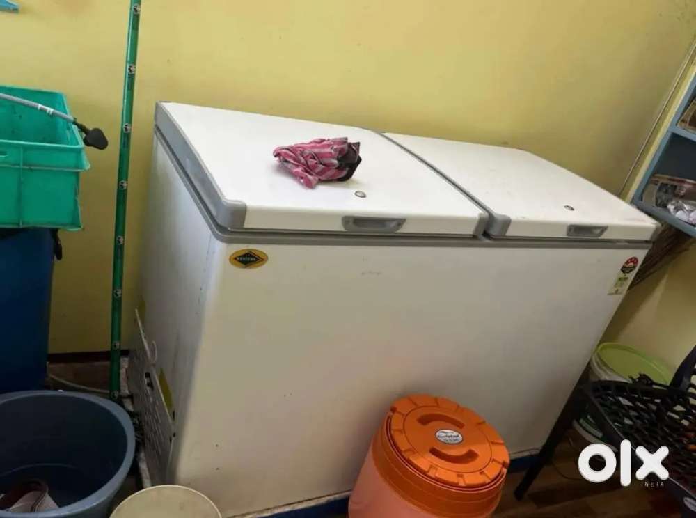 Western freezer for sale