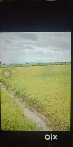 4 acre farm land