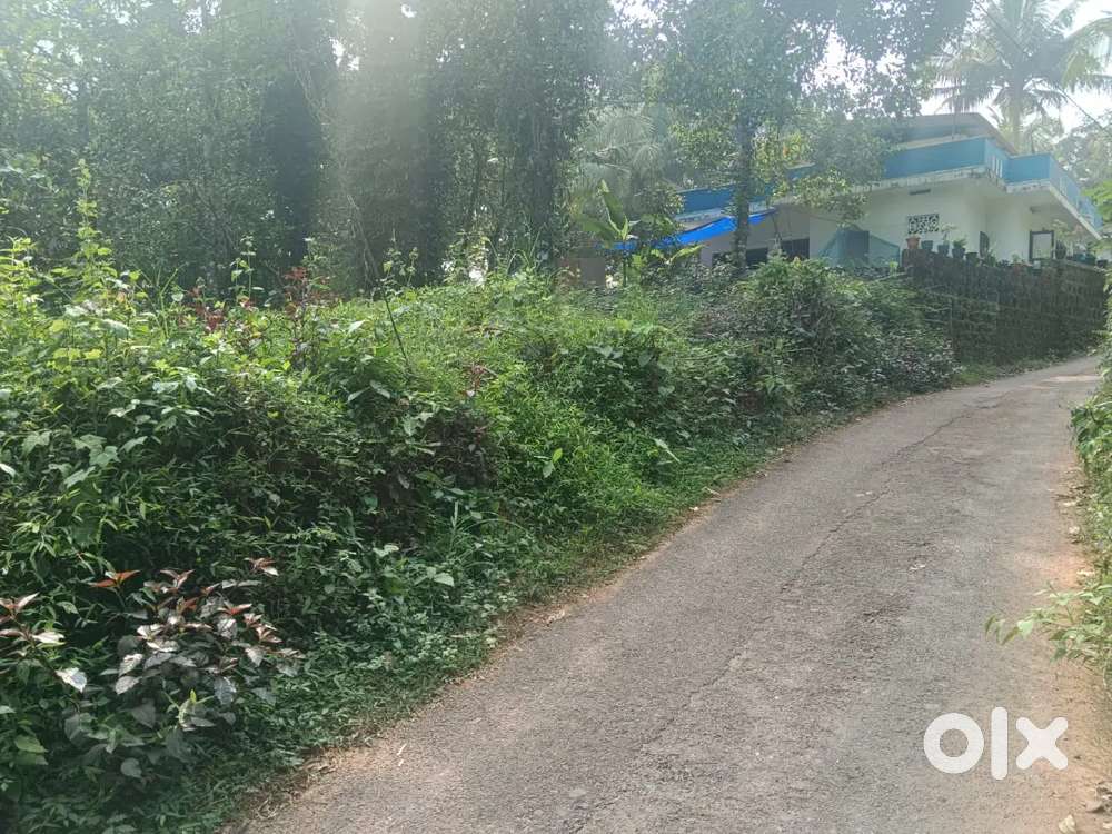 House plot for sale at valiyanur north