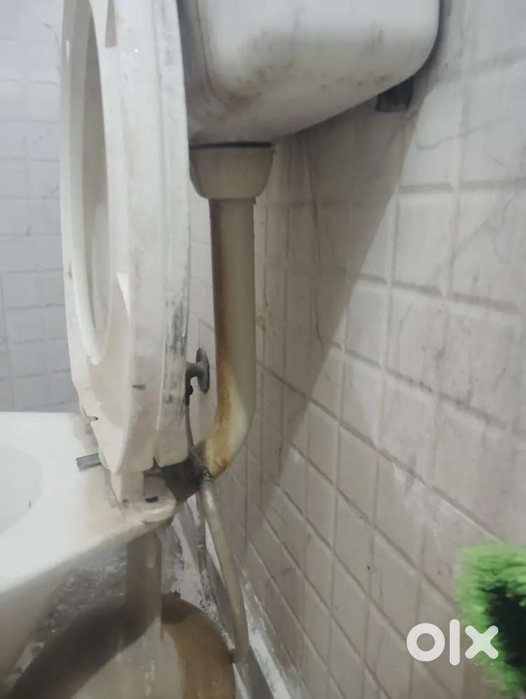 Rent a independent house