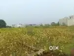Bechna hai