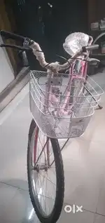 Bitson bicycle